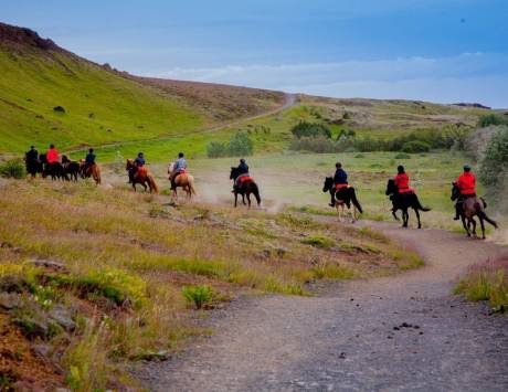 Randonnée equesttre d'une journée dans la région de Hveragerdi